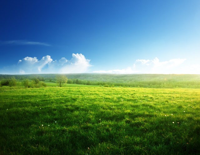 Nitrogen Cycle Myths Debunked: Clear Up Common Misconceptions Today